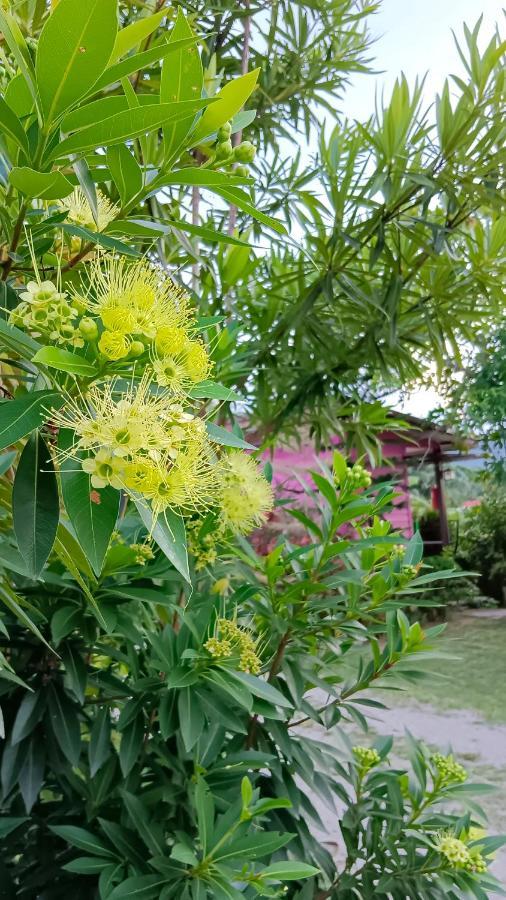 4 Seasons Mini House Hotel Nakhon Si Thammarat Luaran gambar