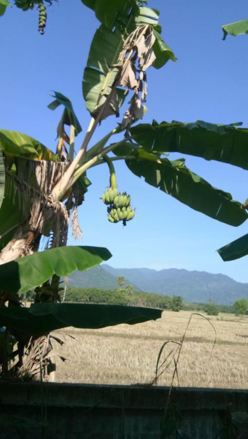 4 Seasons Mini House Hotel Nakhon Si Thammarat Luaran gambar